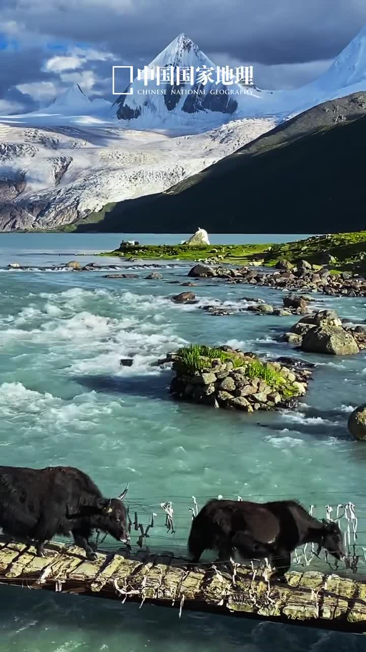 夏日走过山间奔赴绿意流动的盛宴小暑是夏天的第五个节气伏天将至盛夏时节自然界涌动着生命的绿色让我们一起捕捉灵动夏日的清凉瞬间吧