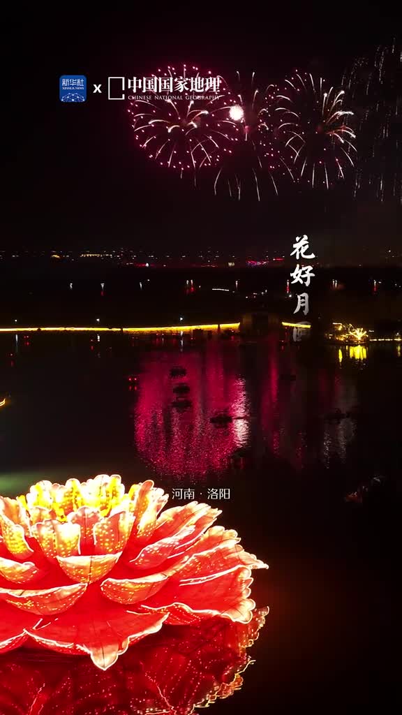 一起感受元宵节的中国式浪漫华枝春满天心月圆火树星桥花灯如昼瑞启美好新春共度喜乐良宵