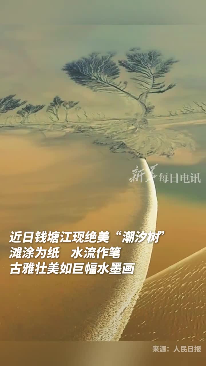 近日钱塘江现绝美潮汐树滩涂为纸水流作笔古雅壮美如巨幅水墨画