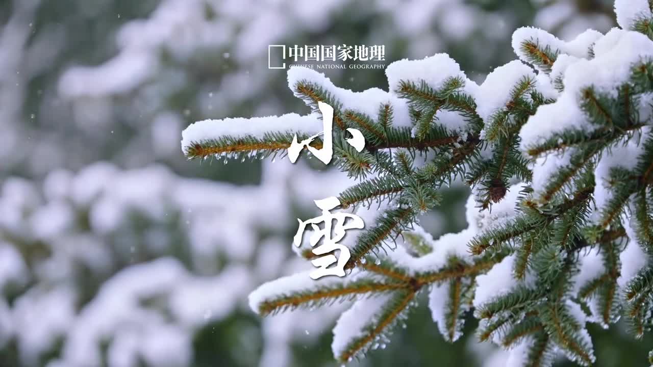 小雪落雪为念岁月成诗风把雪嵌入冬的韵脚化作天地间缠绵的风情初冬已至卸下繁重思绪让心灵如飞雪般轻盈雪落人间正是祈愿好时节