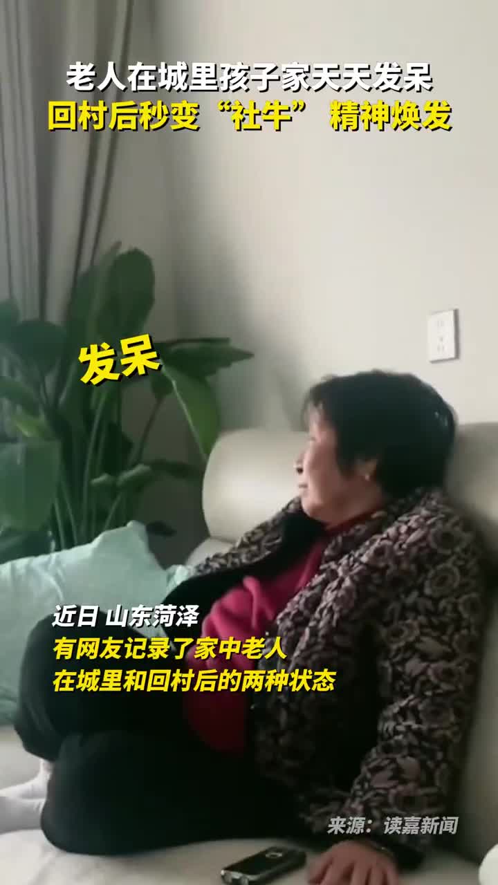 老人在城里孩子家天天发呆回村后秒变社牛精神焕发