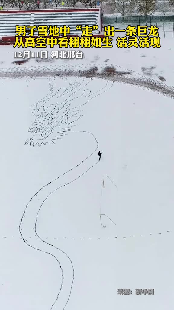 男子雪地中走出一条巨龙