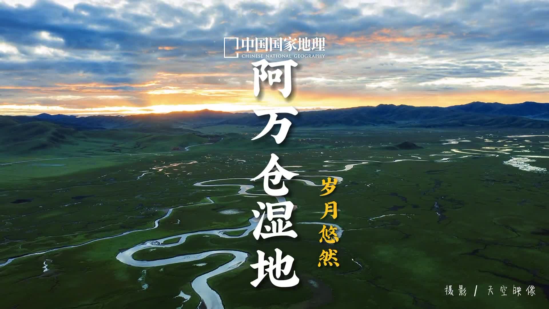 你们要的阿万仓湿地来了想看哪里评论区告诉我