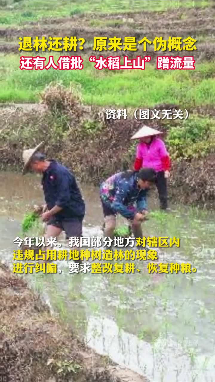 退林还耕原来是个伪概念还有人借批水稻上山蹭流量