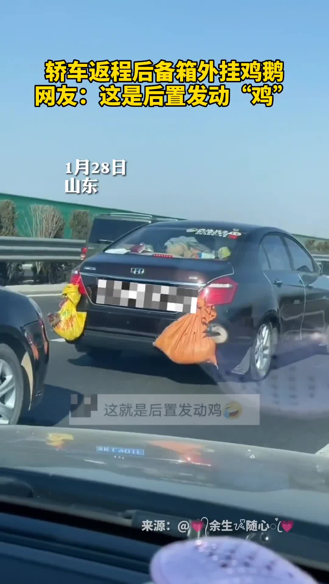轿车返程后备箱外挂鸡鹅