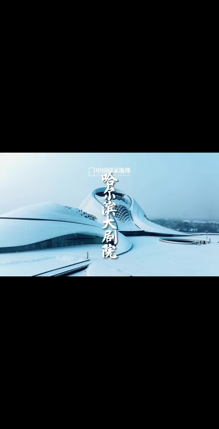 尔滨的艺术气质藏不住了