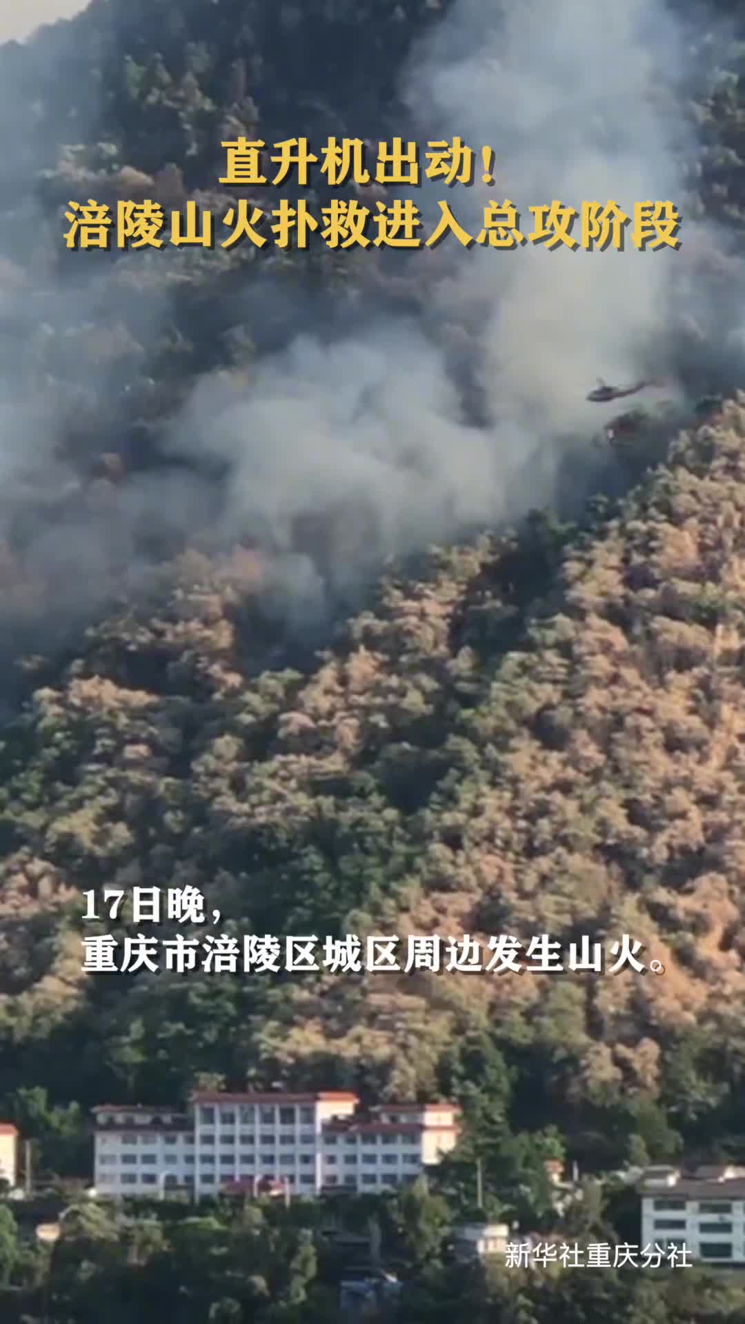 直升机出动重庆涪陵山火扑救进入总攻阶段