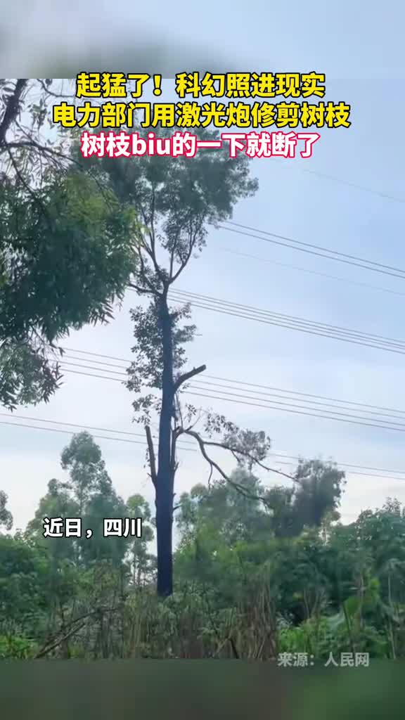 起猛了科幻照进现实电力部门用激光炮修剪树枝树枝biu的一下就断了