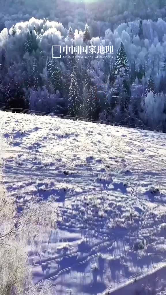 2024再见愿你千般吉愿皆会实现今天是2024年12月31日甲辰年腊月初一星期二凡是过往皆为序章所有将来皆为可盼2024再见愿你千般吉愿皆会实现