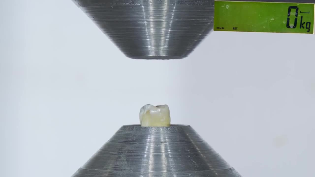 牙齿有多硬看液压机的表现638kg才将其压碎太强悍了