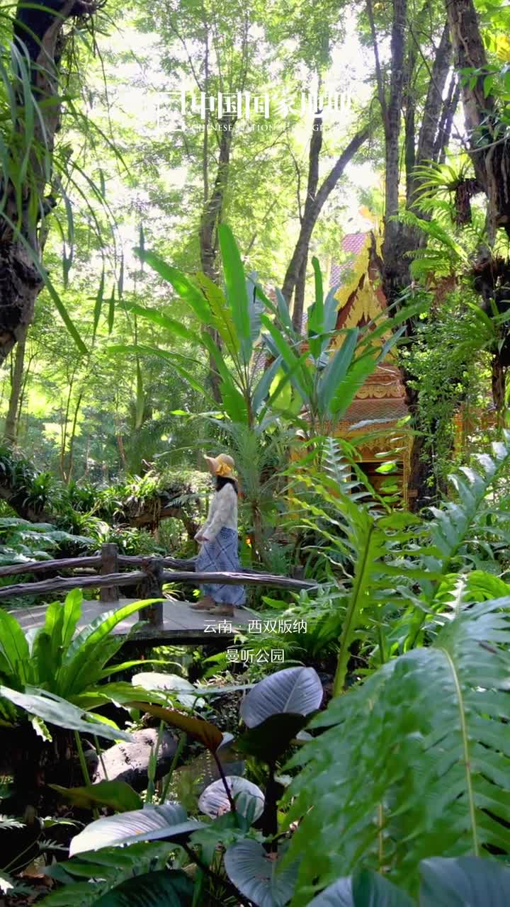 三九寒天去哪猫个冬俗话说小寒大寒冻成冰团小寒节气的到来标志着我们即将迎来一年中最寒冷的日子然而此时那些地处北回归线以南的小城们正盈溢着四季如春的温暖这个冬天且让明媚暖阳驱散凛冬寒意放空身心感受时光悠然吧