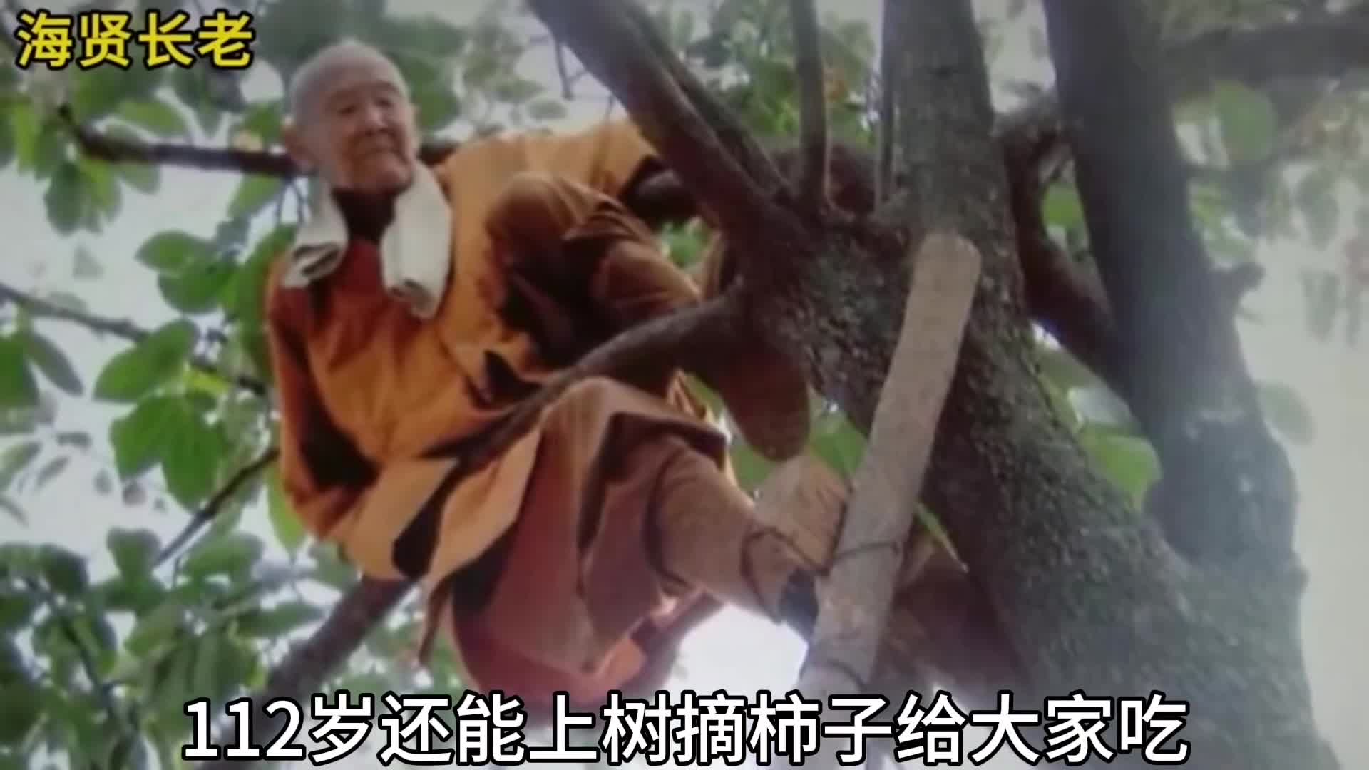 112岁还能上树海贤老和尚的故事
