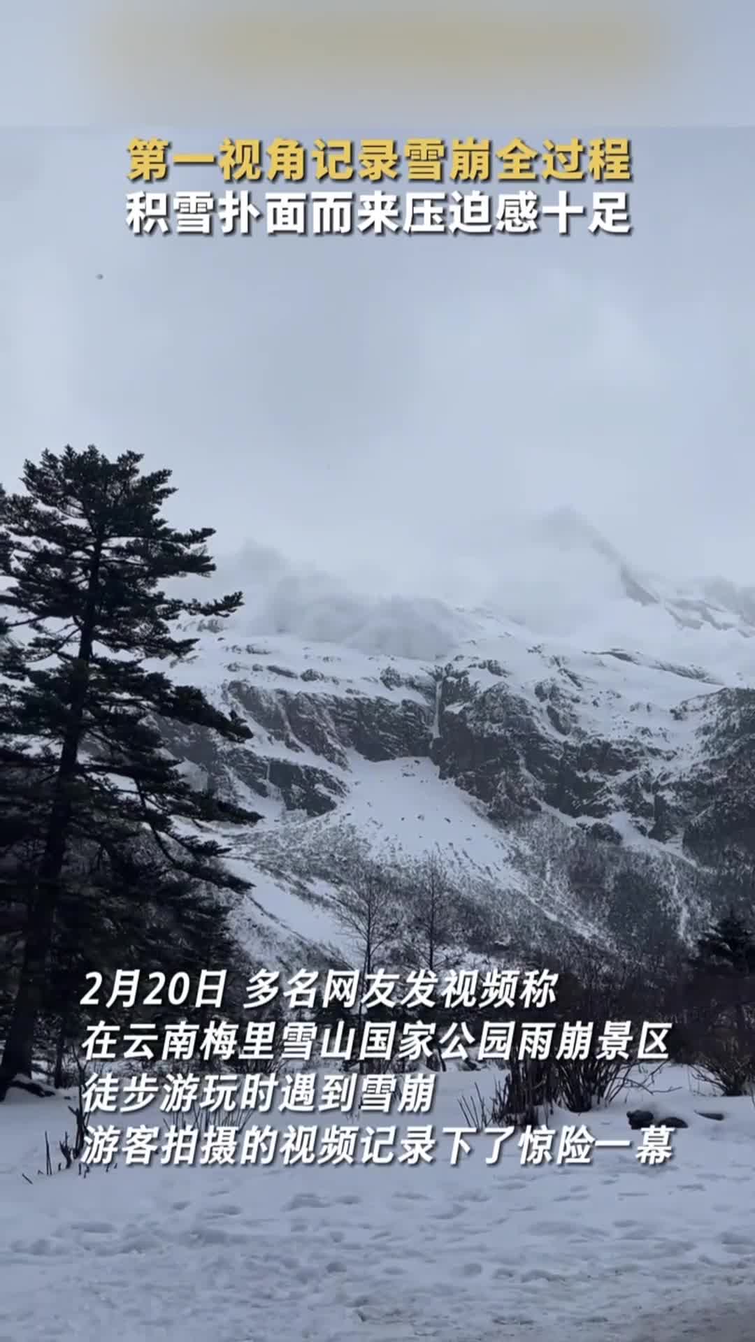 第一视角记录雪崩全过程积雪扑面而来压迫感十足中国新闻网