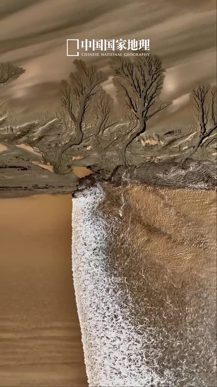 十月你好拾起过往渐入佳境且看那十里红枫黄叶铺地漫天金清秋意正浓2024年仅剩下25请继续努力那些付出终会成就更好的你