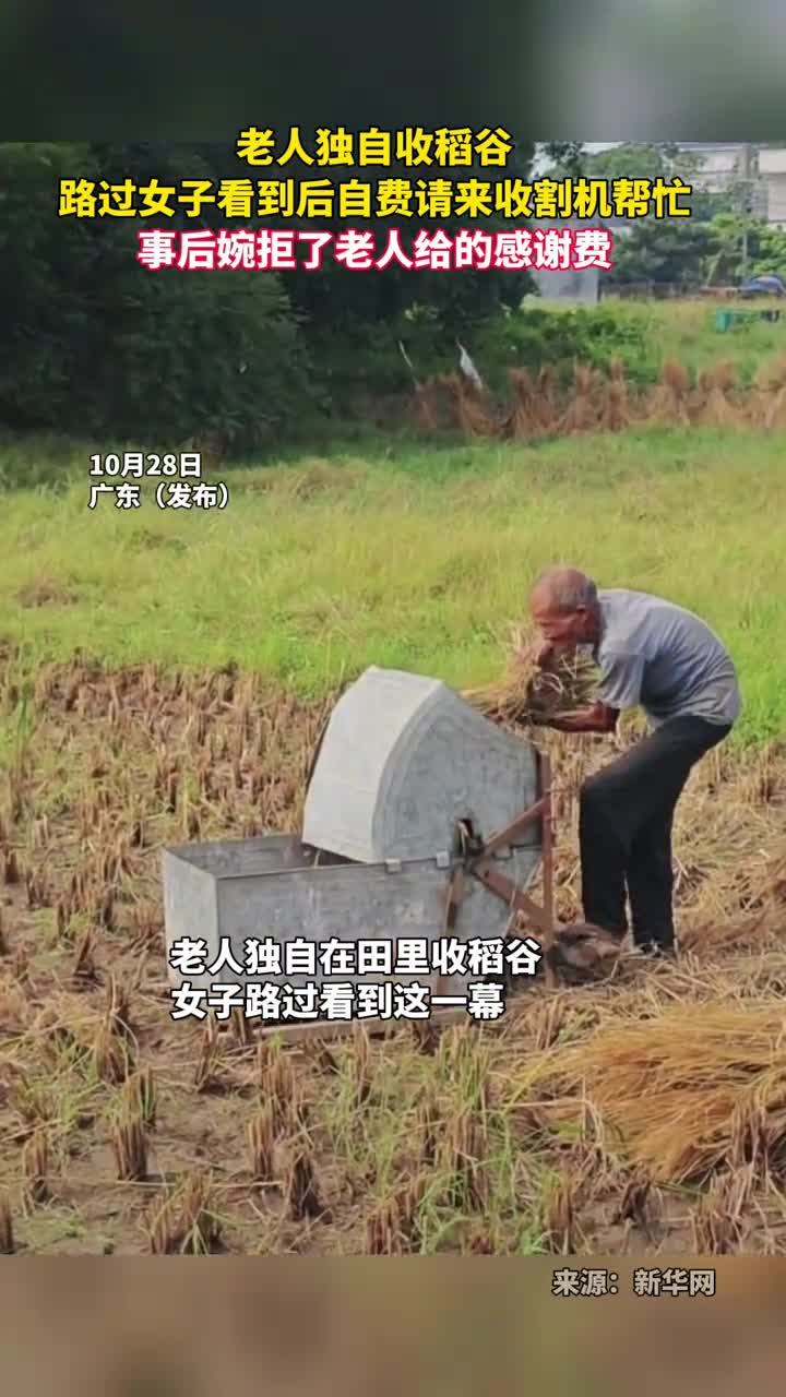老人独自收稻谷路过女子看到后自费请来收割机帮忙事后婉拒了老人给的感谢费