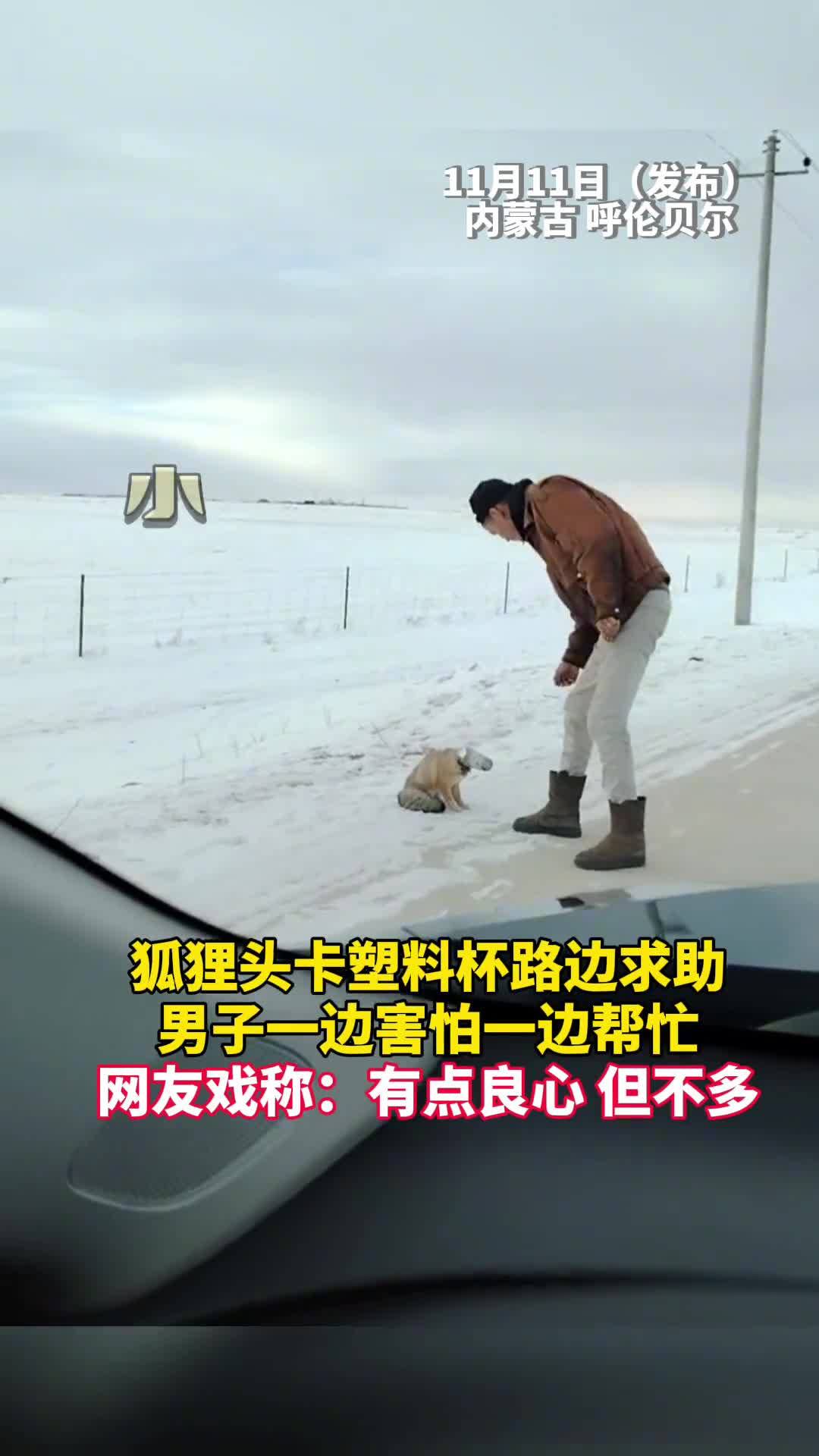 狐狸头卡塑料杯路边求助男子一边害怕一边帮忙网友戏称有点良心但不多