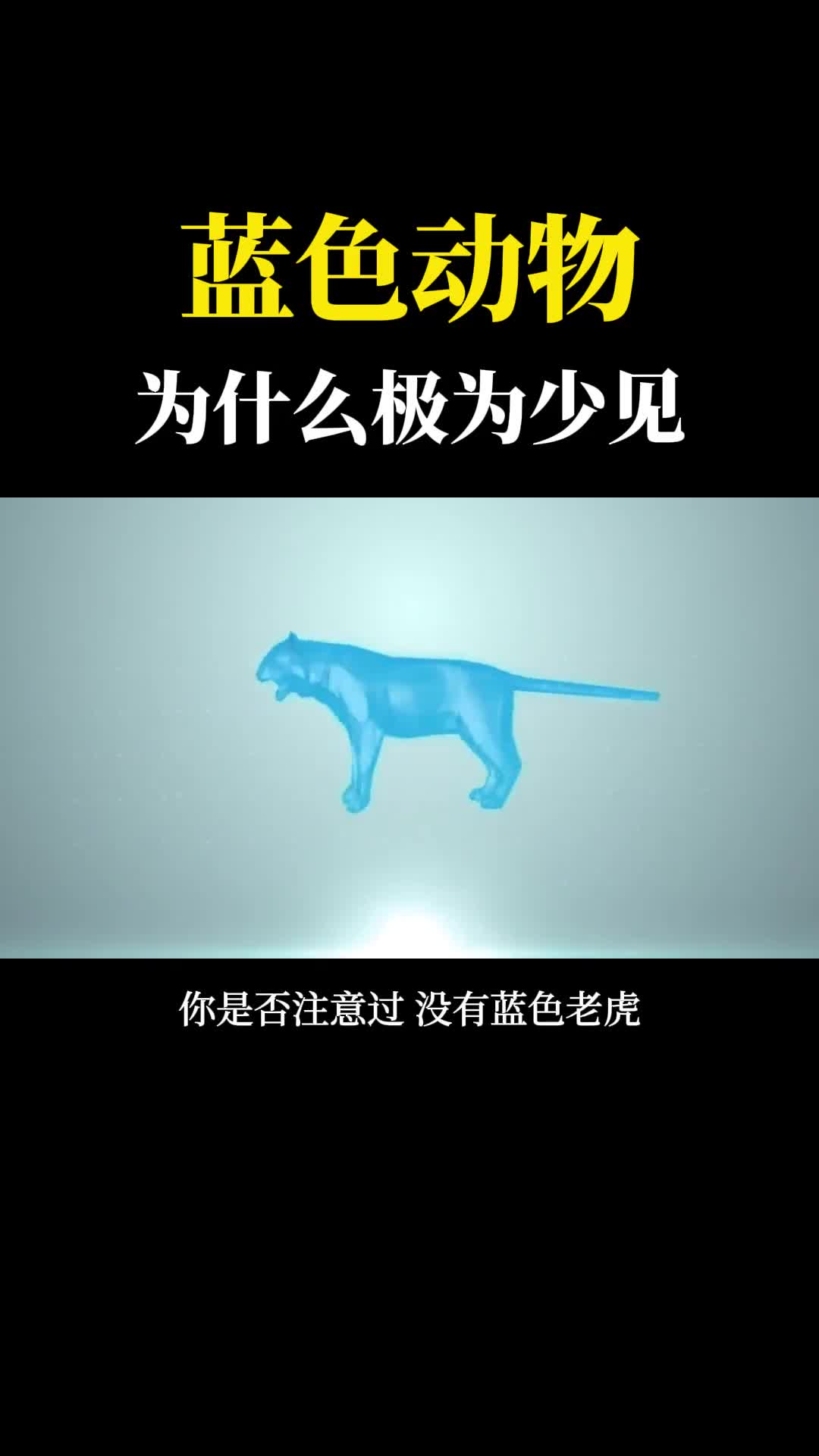 一直很好奇为什么几乎看不到蓝色动物呢你见过吗
