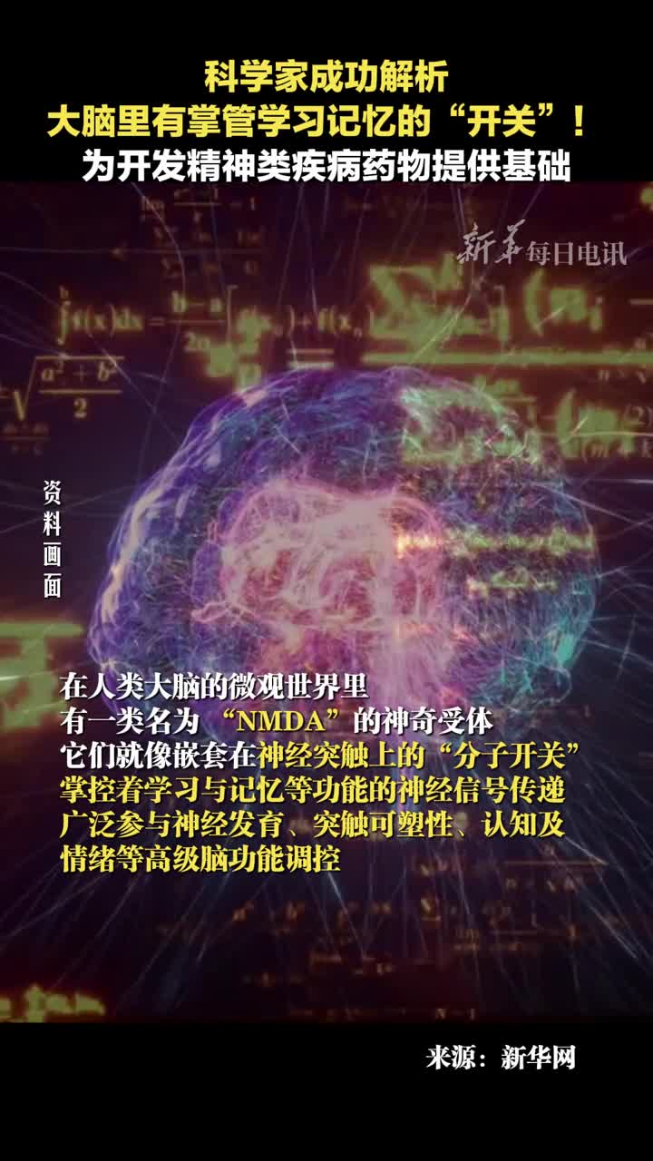 科学家成功解析大脑里有掌管学习记忆的开关为开发精神类疾病药物提供基础