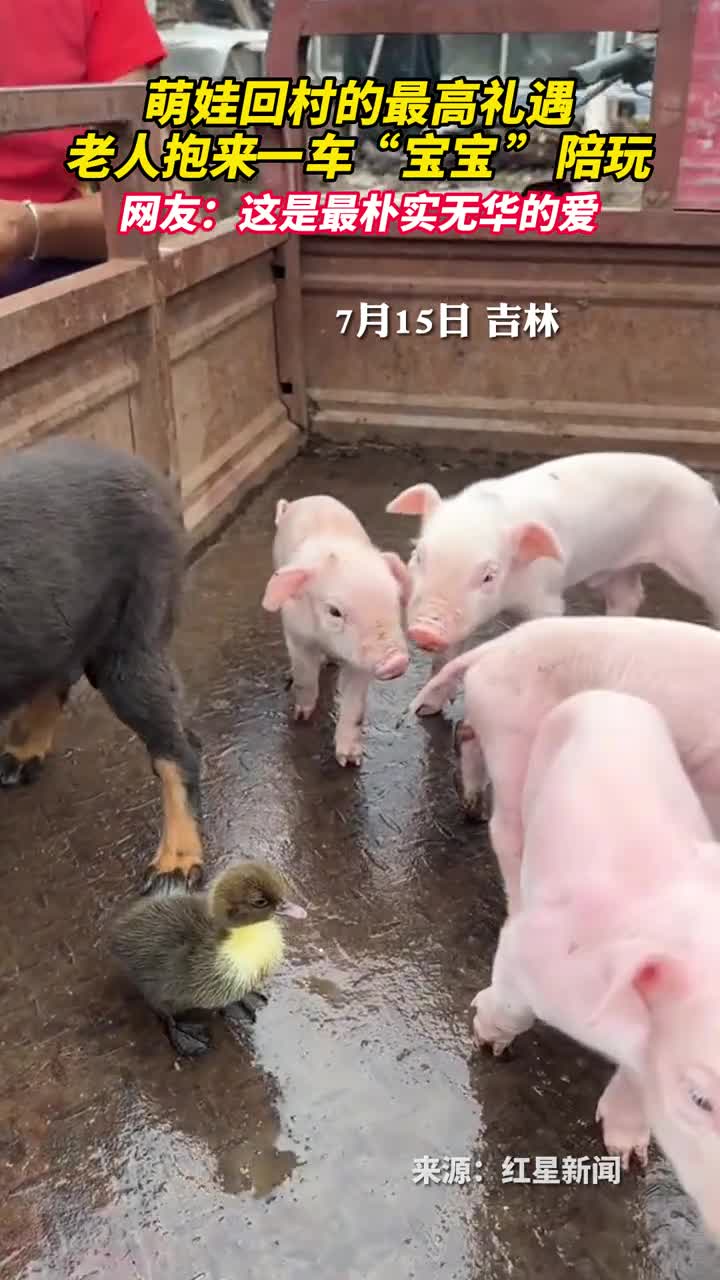 萌娃回村的最高礼遇老人抱来一车宝宝陪玩网友这是最朴实无华的爱