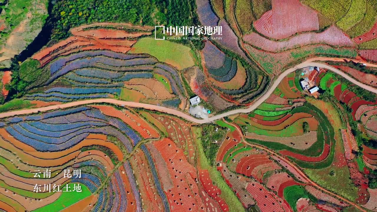 大自然有自己的秋日美学云南高原气候湿润频繁的降水使得土壤中的碱性物质被充分淋洗而留下来的铁铝元素造就了这片醉人的红土地岁至晚秋作物丰成只见灵动流畅的线条舒展延伸在红土之上勾勒出一幅动人的秋日画卷令所见之人为之心动