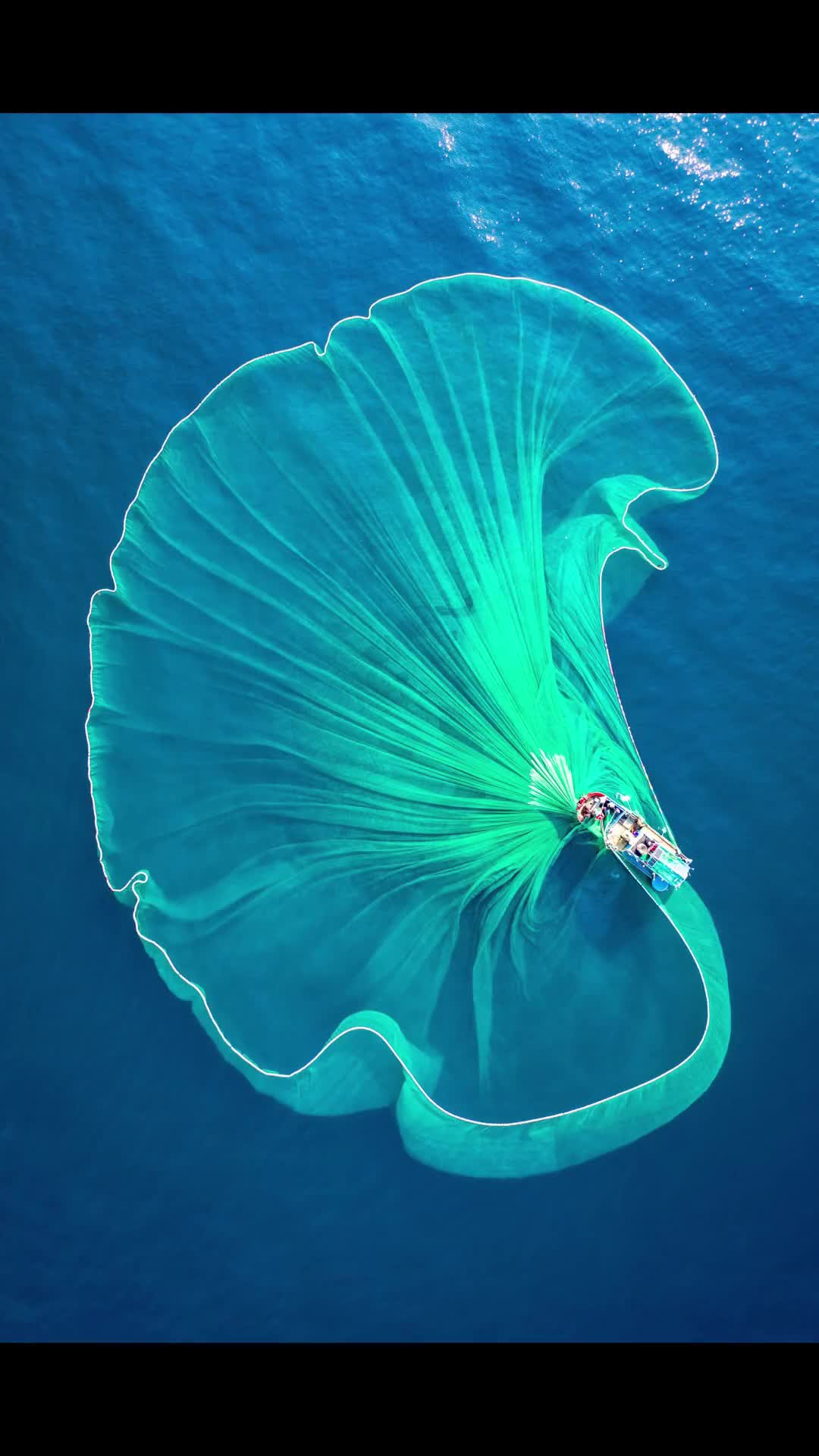 8张治愈系壁纸满足你对夏天的无尽想象