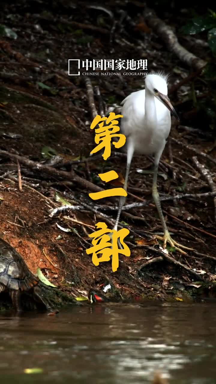 夏日公园里的小可爱摄影萌萌助理航拍V