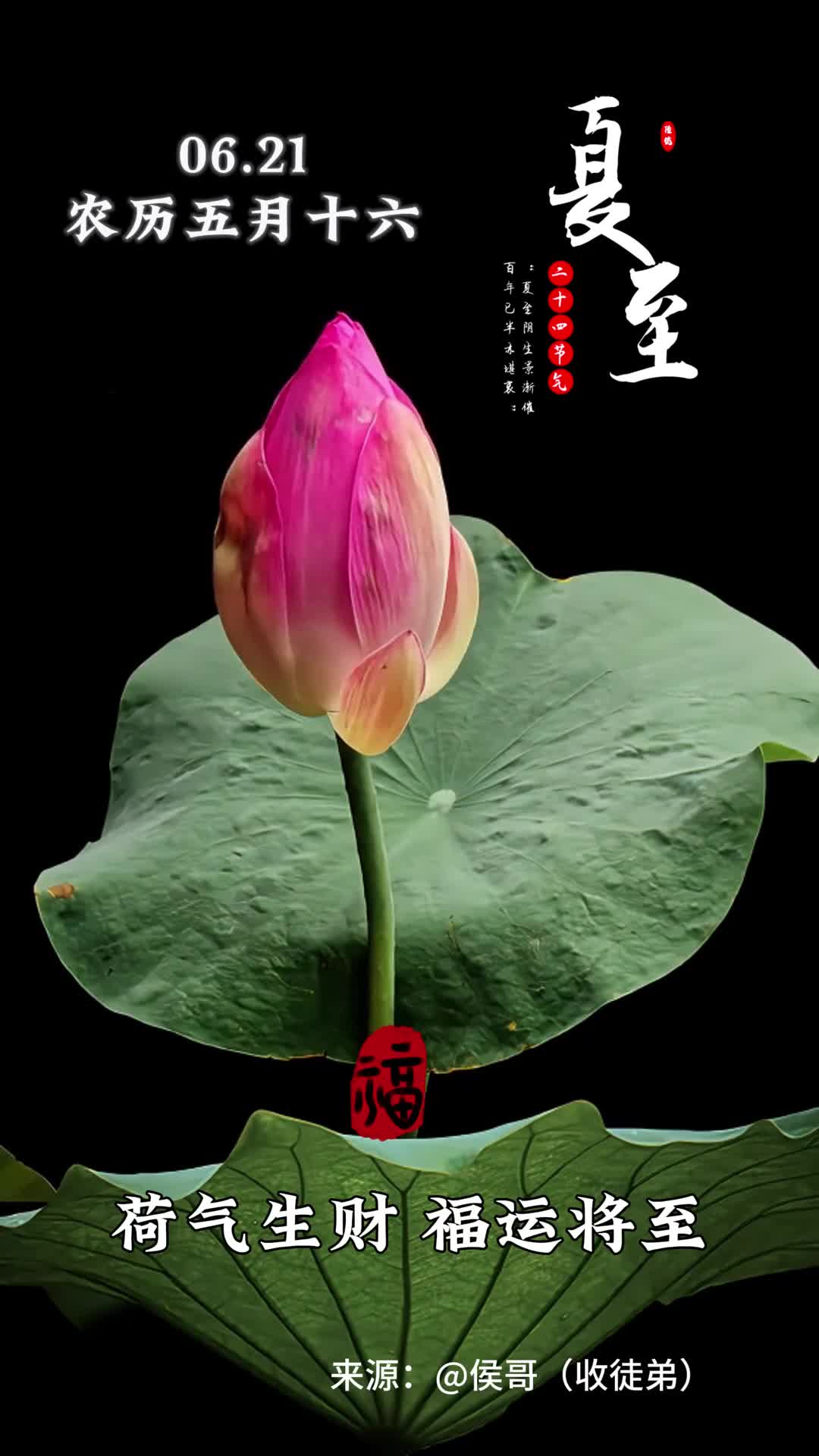 荷气生财福运将至今日夏至愿你五谷丰登六时顺六六大顺福满门早安