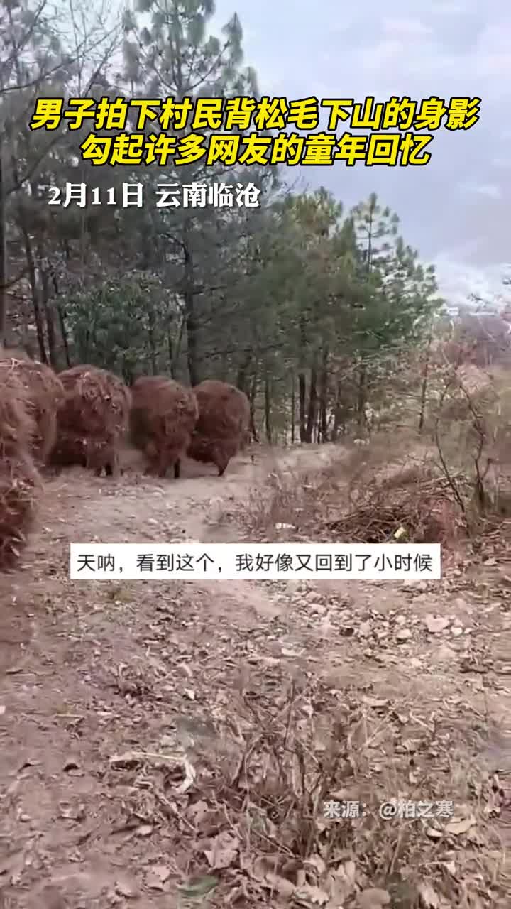 男子拍下村民背松毛下山的身影勾起许多网友的童年回忆
