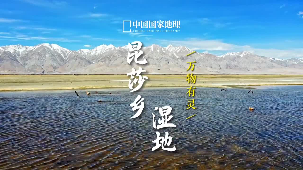 今天带大家云游西藏