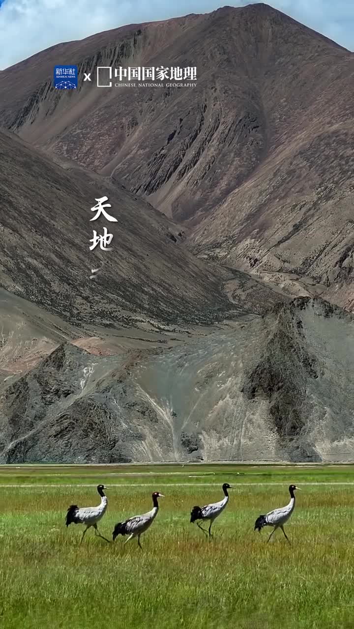 今天是国际生物多样性日一起感受自然万物和谐共生的美好