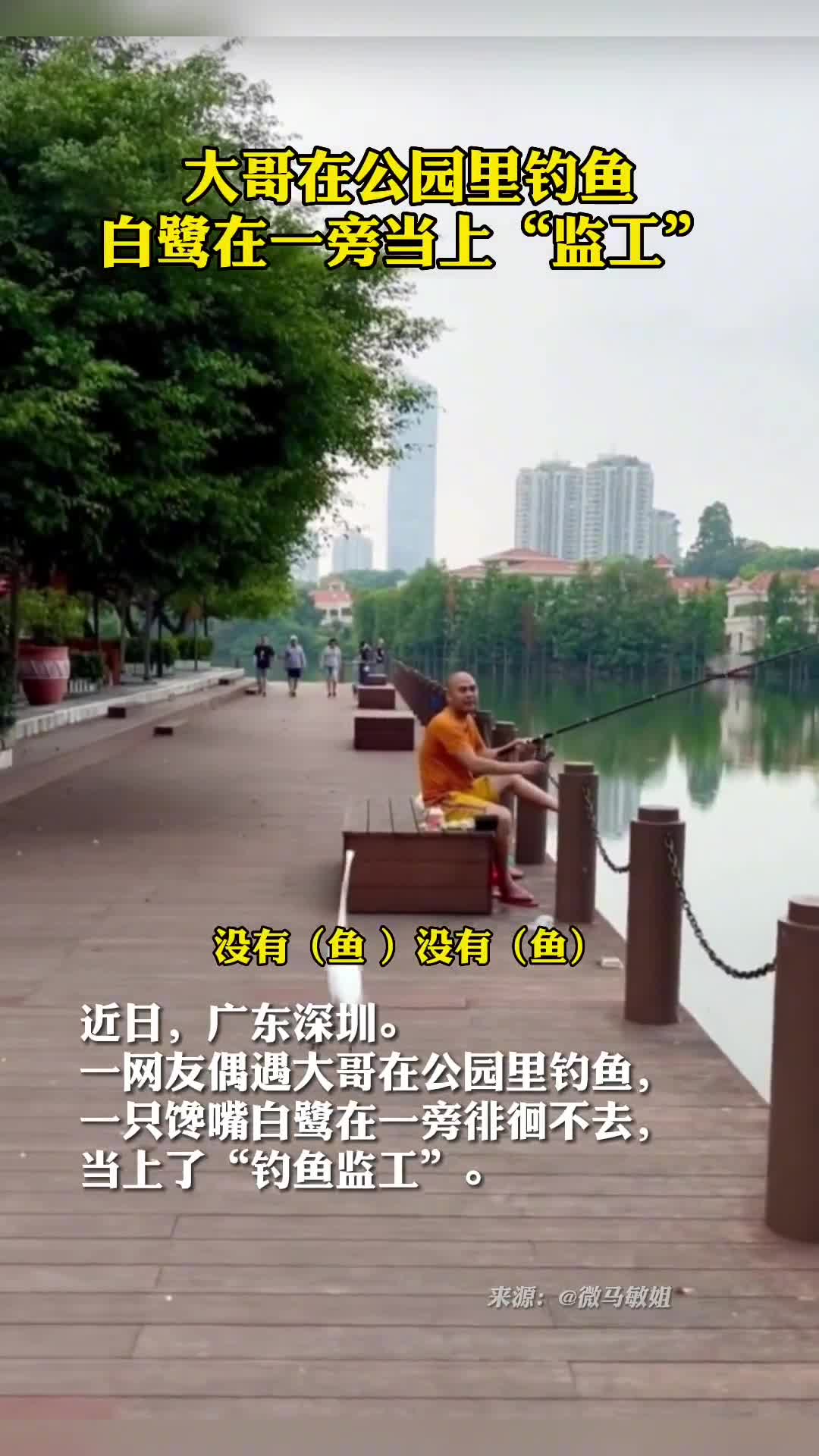 这就是人与自然的和谐共处吧大哥在公园里钓鱼白鹭在一旁当上监工