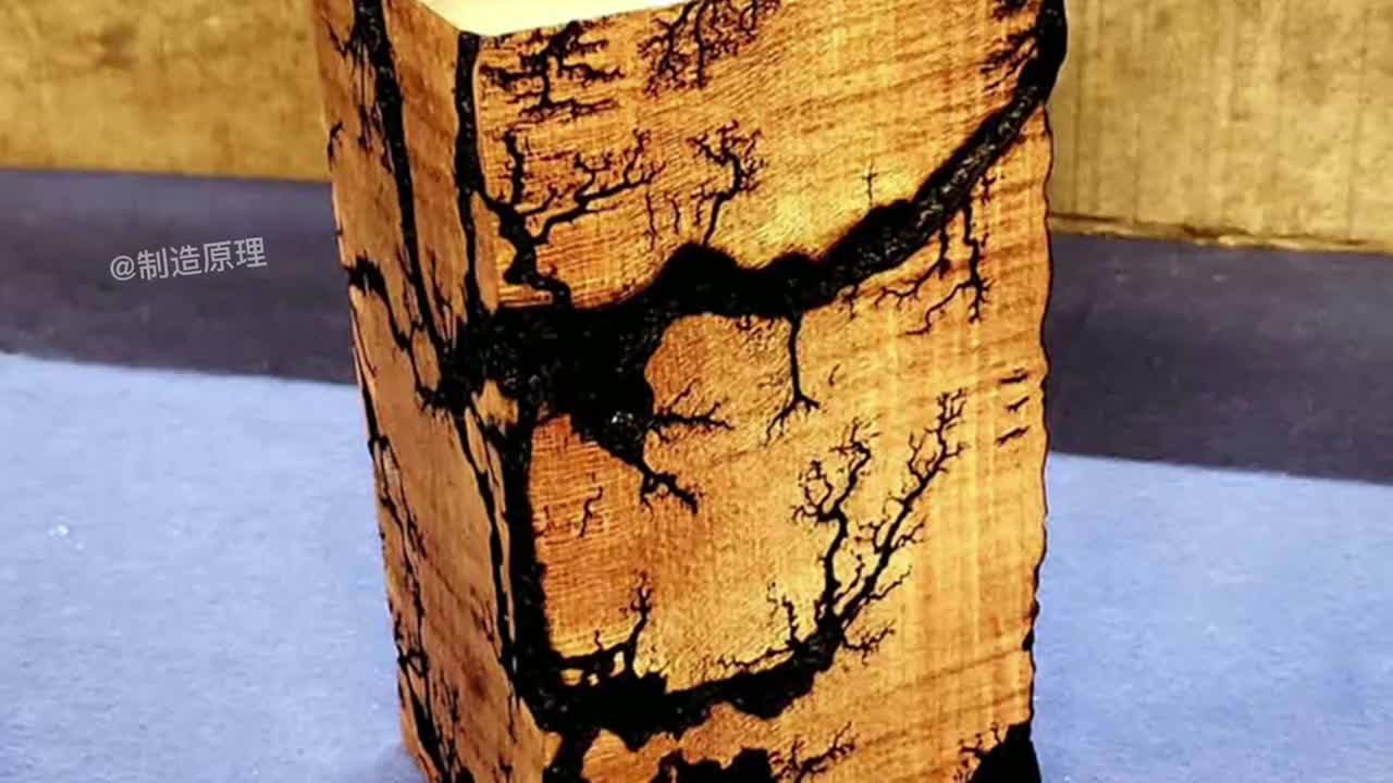 木头通电后出现神奇的花纹这是什么原理