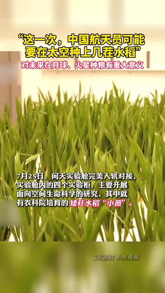 这一次中国航天员可能要在太空种上几茬水稻