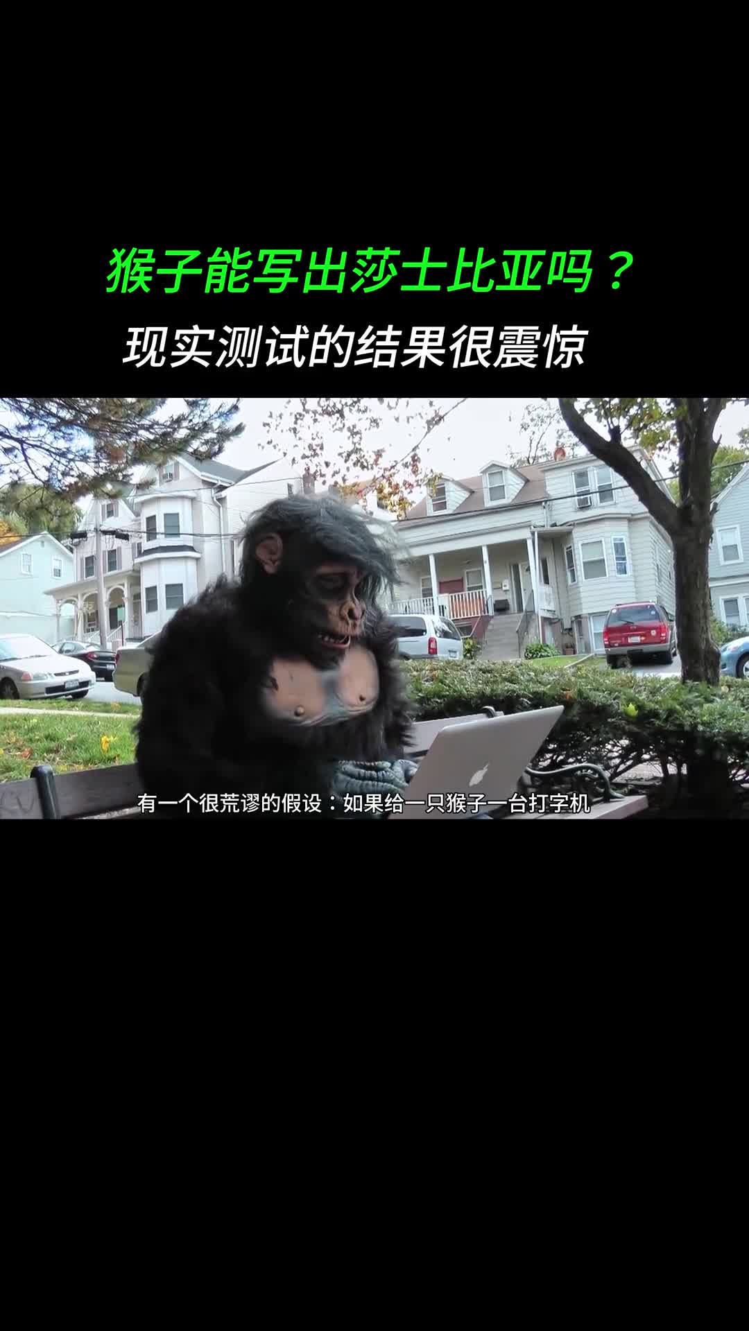 猴子敲键盘真的能创造奇迹背后隐藏着宇宙的奥秘