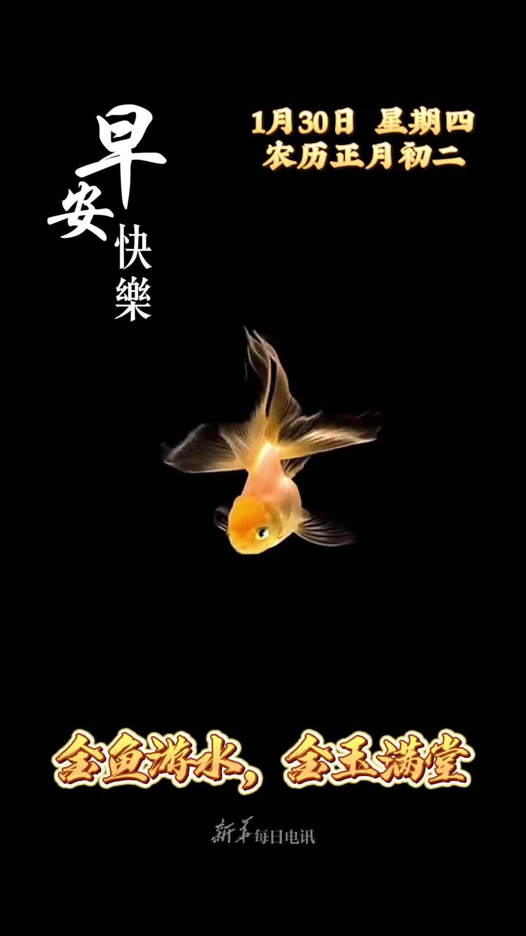 金鱼游水金玉满堂今天是大年初二祝您和家人岁岁平安年年有余早安