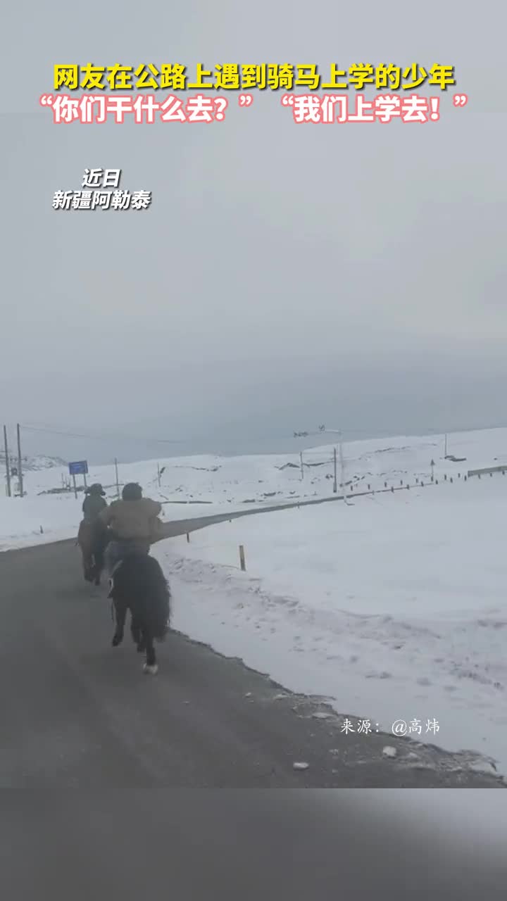 网友在公路上遇到骑马上学的少年你们干什么去我们上学去