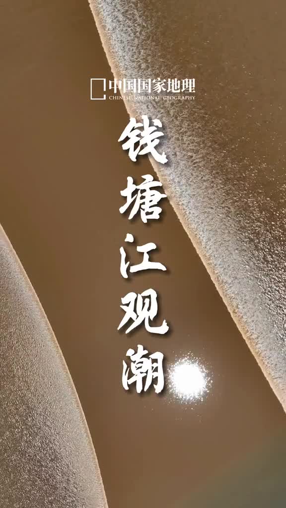 1分30秒带你欣赏钱塘江蔚为壮观的交叉潮交叉潮潮分两股方向迥异自然奇观叹为观止