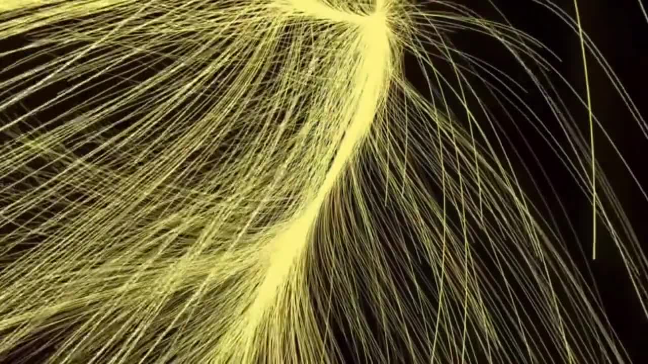 拉尼亚凯亚超星系团宇宙中的庞大天体结构