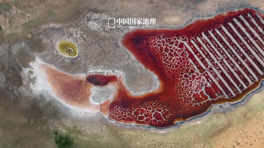 大地上的牛排不这是位于内蒙古自治区阿拉善盟的盐湖名为海骝其古在苍茫的黄沙大漠中这绚丽的红色如此耀眼仿佛大自然无意中打翻的调色盘形成一抹令人陶醉的亮色又如一颗闪耀的红宝石散发出令人无法抗拒的美感这是上天赐给人间的浪漫礼物特殊的地理位置气候条件以及自带颜色的水生生物共同造就了如此难得的红色盐湖
