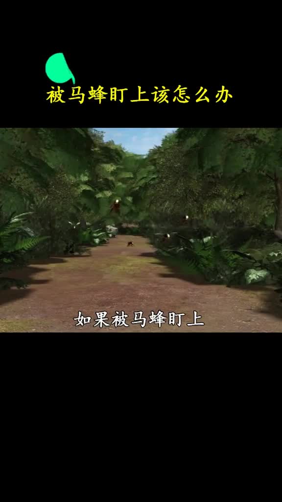 被马蜂盯上的紧急措施不要再找阴凉处了