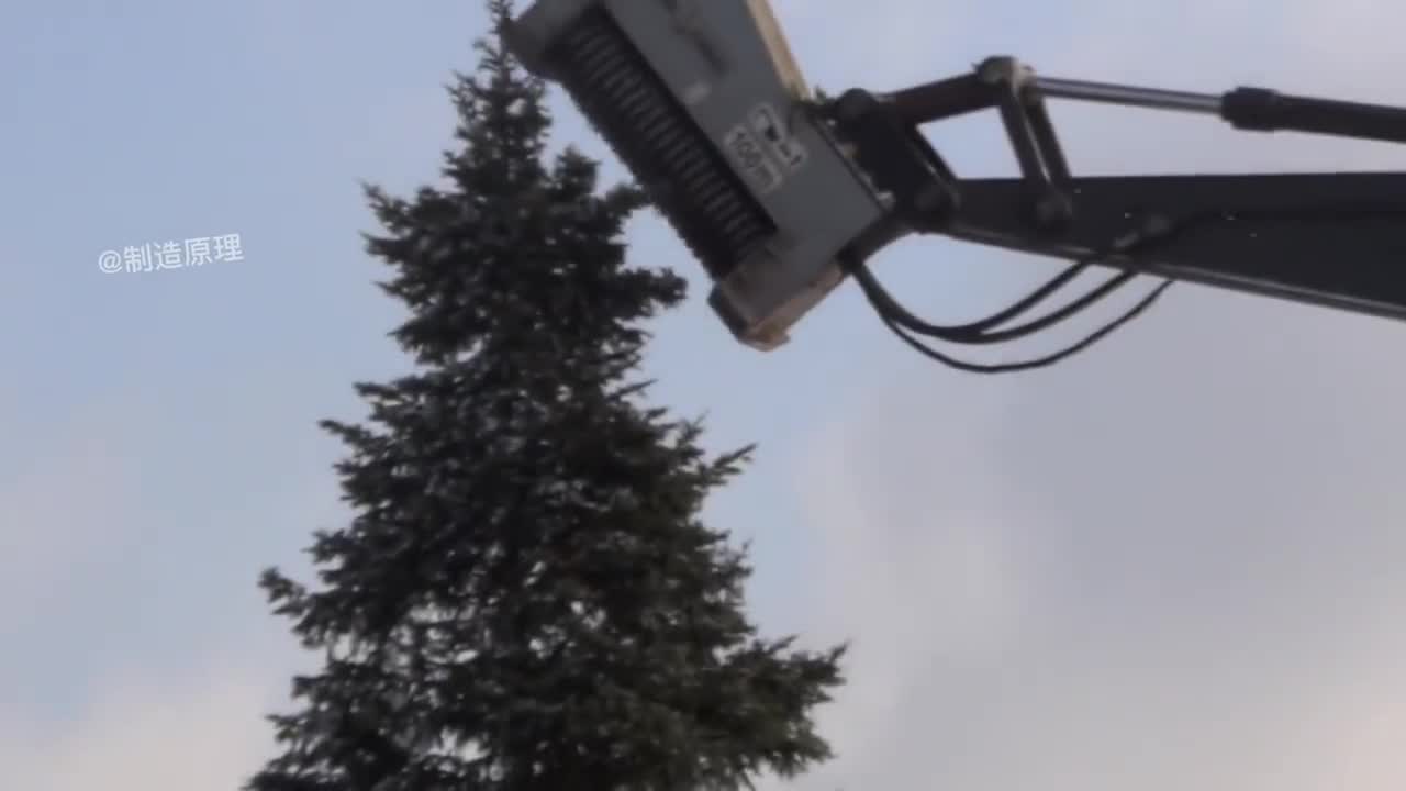 不多见的工程机械第一个我就服了13秒嚼碎一颗大树