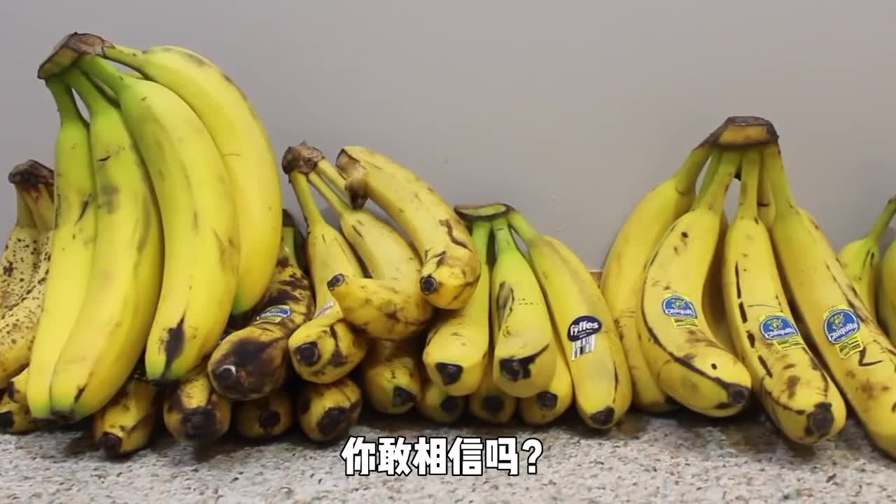 香蕉又要灭绝了你现在吃到的香蕉只是替代品