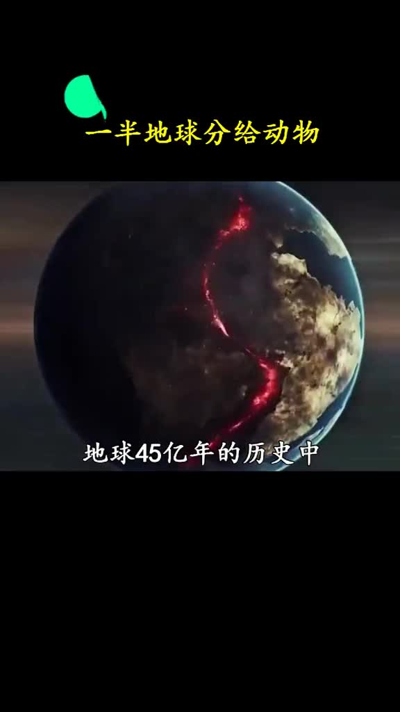 如果分一半地球给动物会怎么样