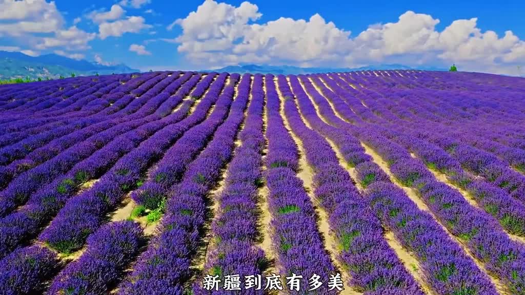 新疆到底有多美六分钟时间了解新疆所有自驾环线