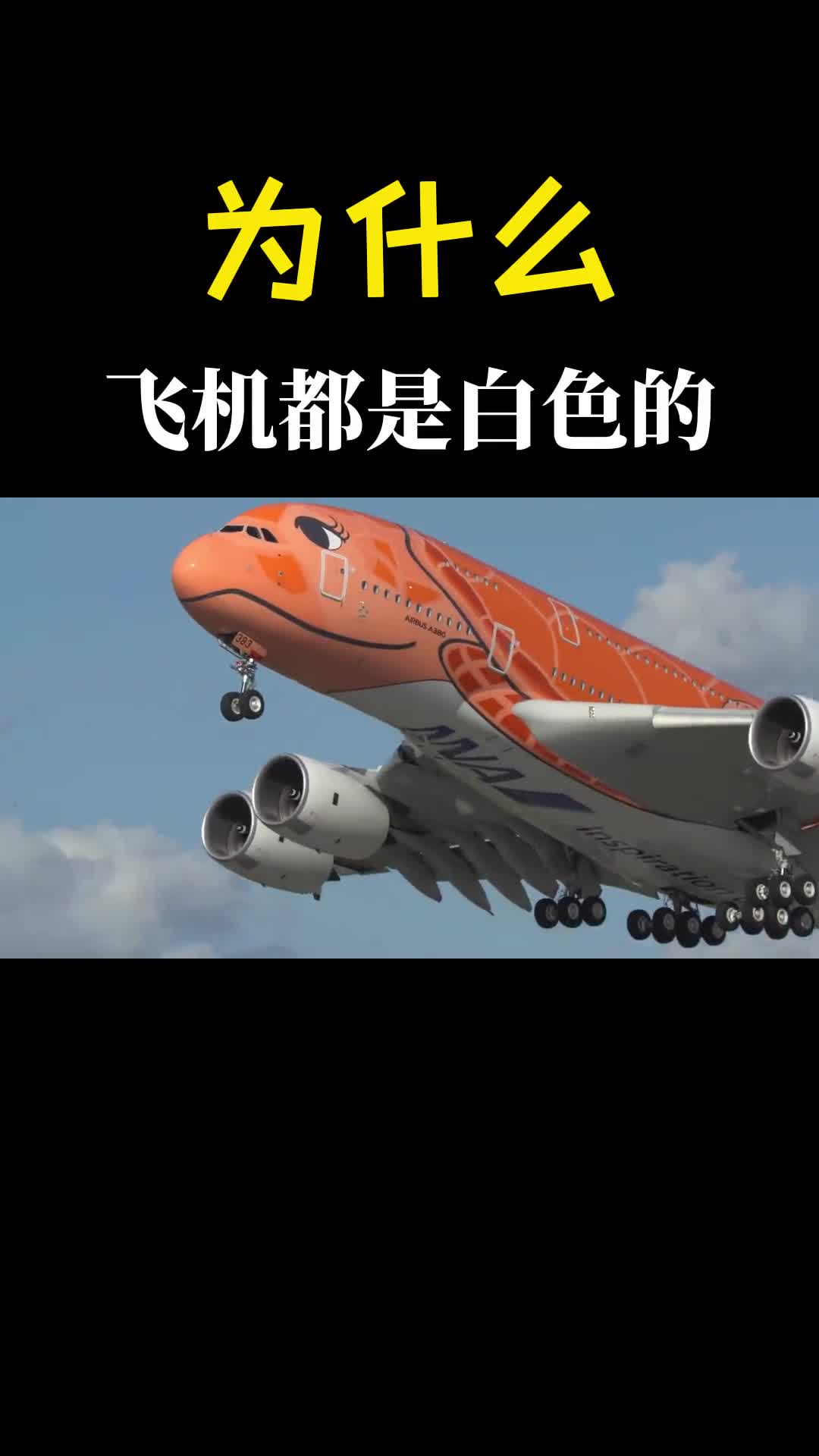 飞机为何大多数是白色的不能用其他颜色吗原来还有这么多原因