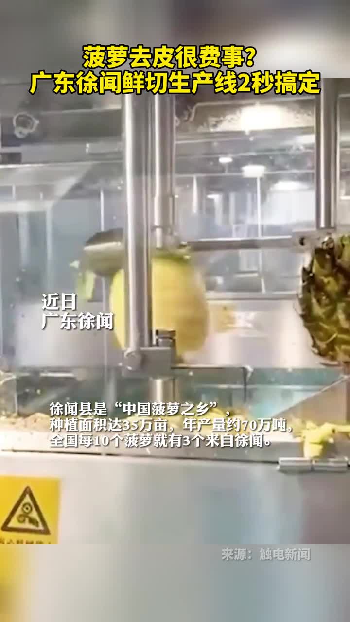 菠萝去皮很费事广东徐闻鲜切生产线2秒搞定