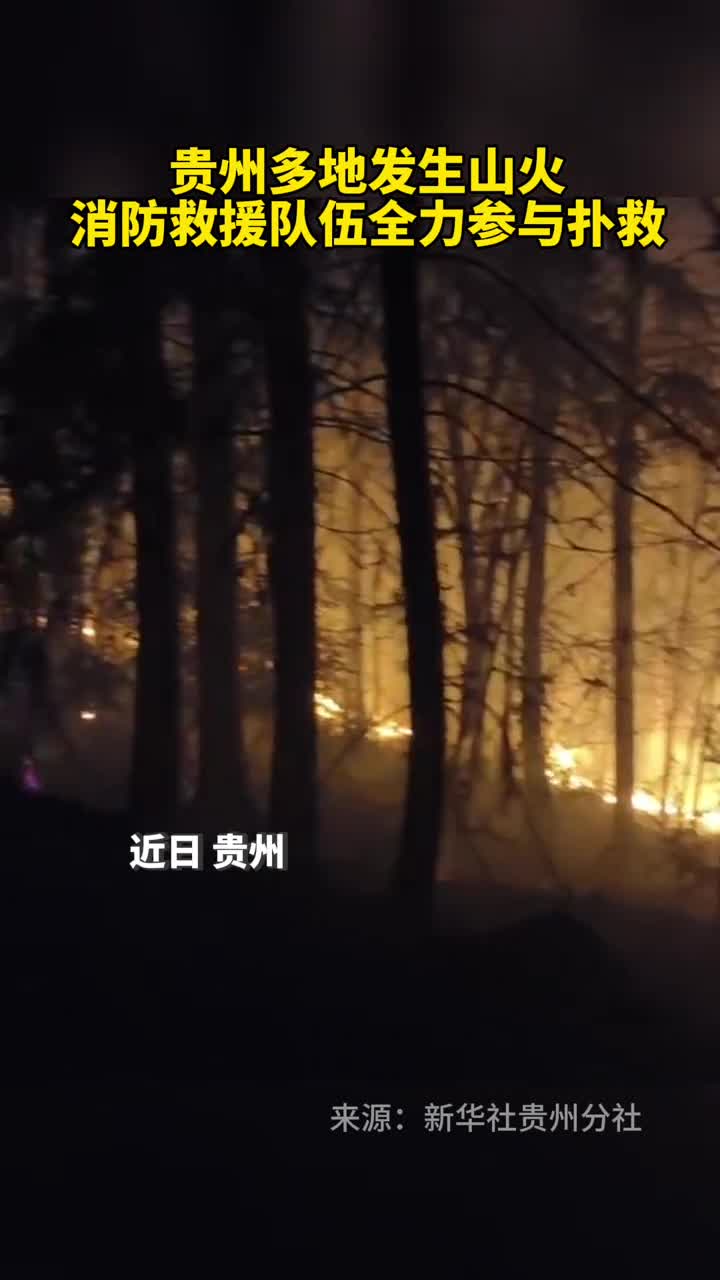 贵州多地发生山火消防救援队伍全力参与扑救