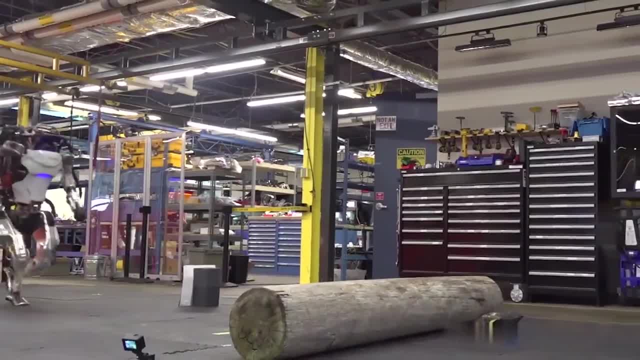 这货又升级了走路越来越像人了