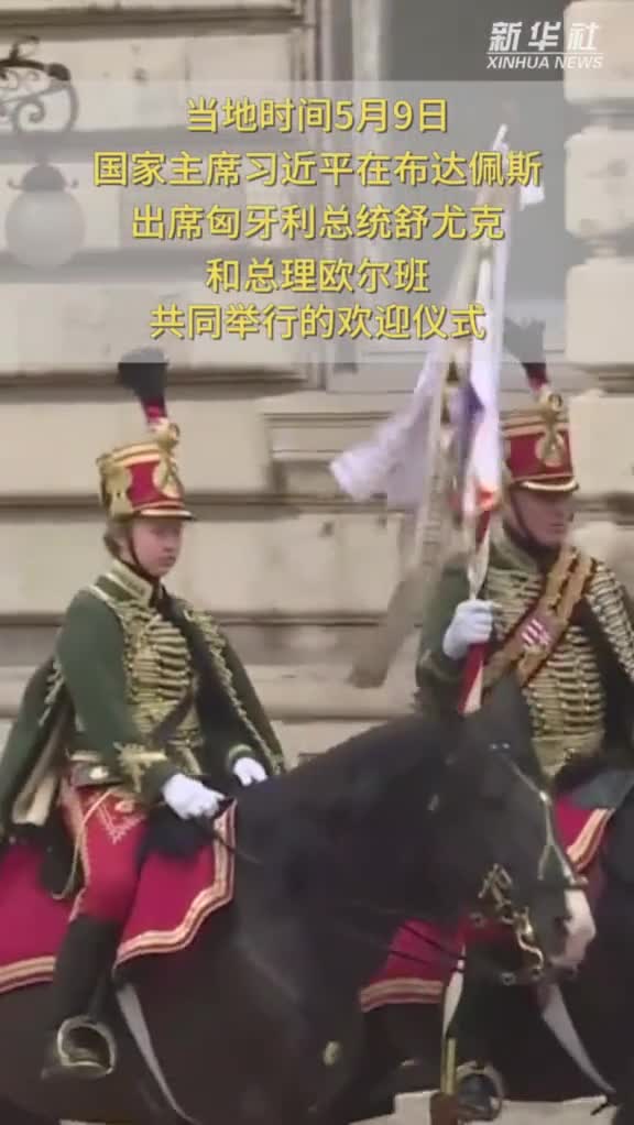 高访vlog跟习主席欢迎仪式上的匈牙利女骑手聊天