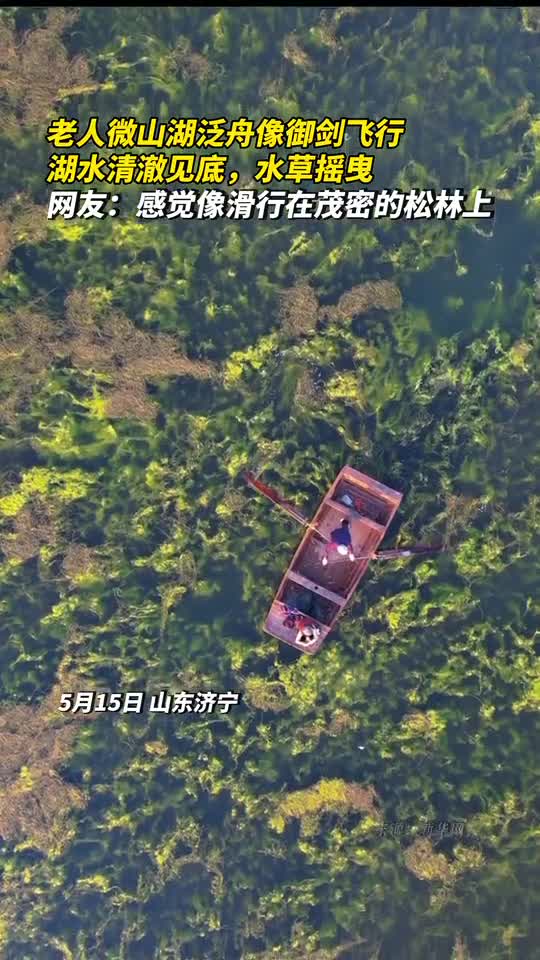 老人微山湖泛舟像御剑飞行湖水清澈见底水草摇曳